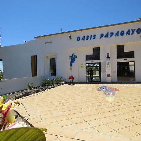 Casa Mona Appartement Corralejo Buitenkant foto