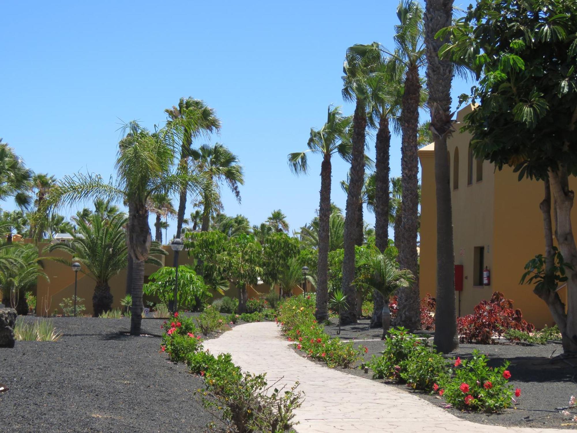 Casa Mona Appartement Corralejo Buitenkant foto